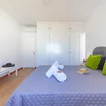 Villa Abel - Villa Espacosa Com Bbq E Piscina Em Albufeira Villa